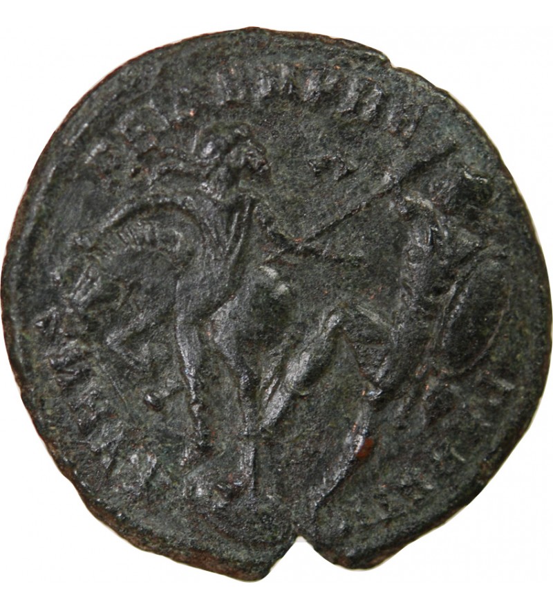 CONSTANCE II - MAIORINA 350 / 354 HERACLEE