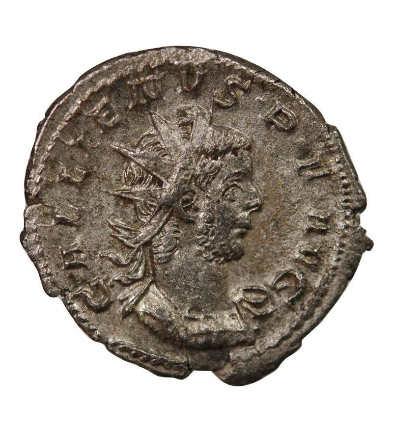 GALLIEN - ANTONINIEN 259 / 260 TREVES