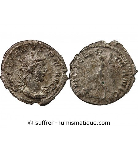 GALLIEN - ANTONINIEN 259 / 260 TREVES