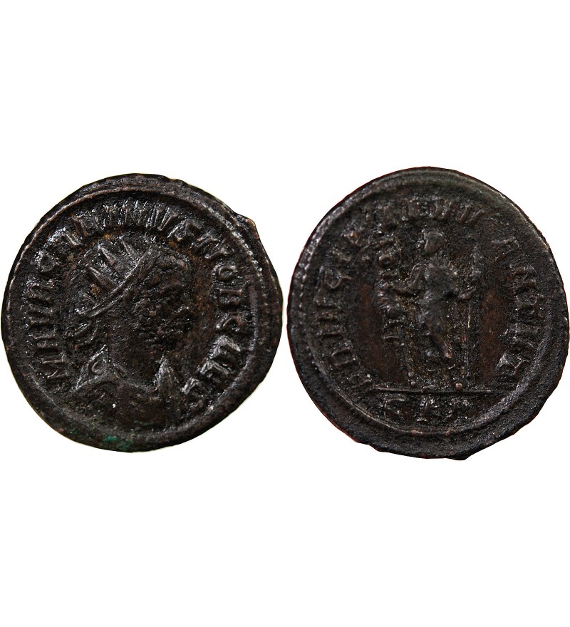 CARIN - ANTONINIEN 282 / 283 ROME