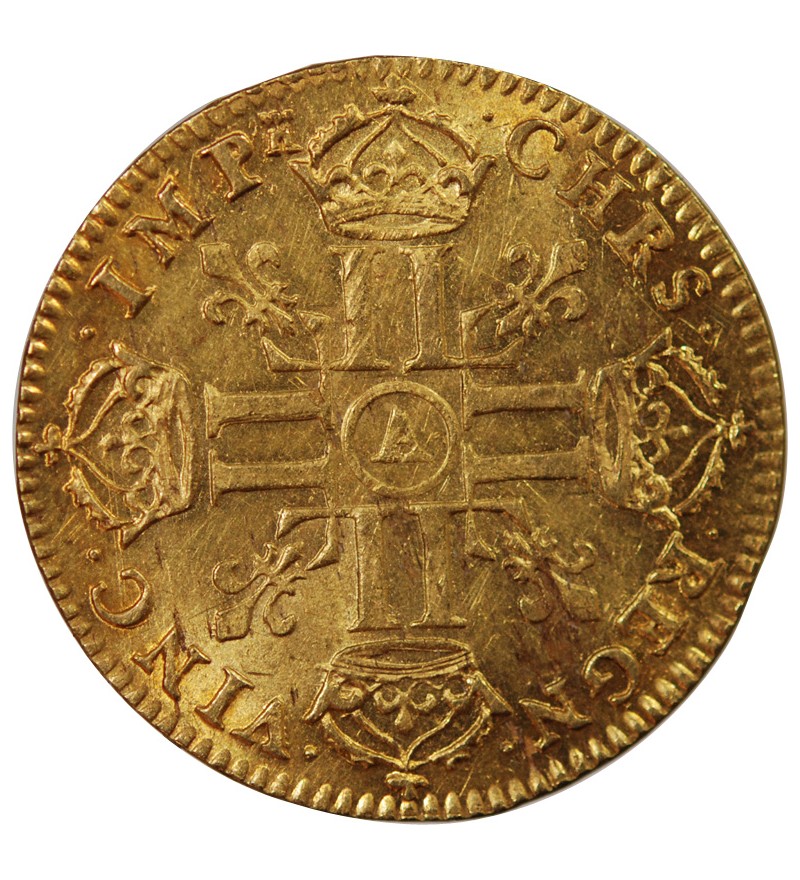 LOUIS XIV﻿ - LOUIS D'OR BUSTE JUVENILE TETE NUE 1668 A PARIS