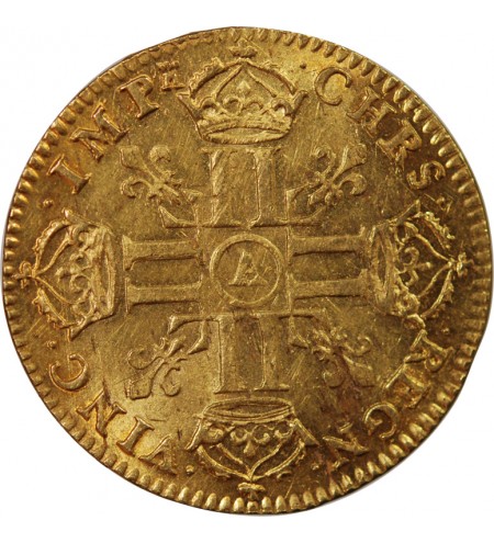 LOUIS XIV﻿ - LOUIS D'OR BUSTE JUVENILE TETE NUE 1668 A PARIS