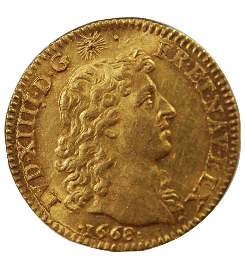 LOUIS XIV﻿ - LOUIS D'OR BUSTE JUVENILE TETE NUE 1668 A PARIS