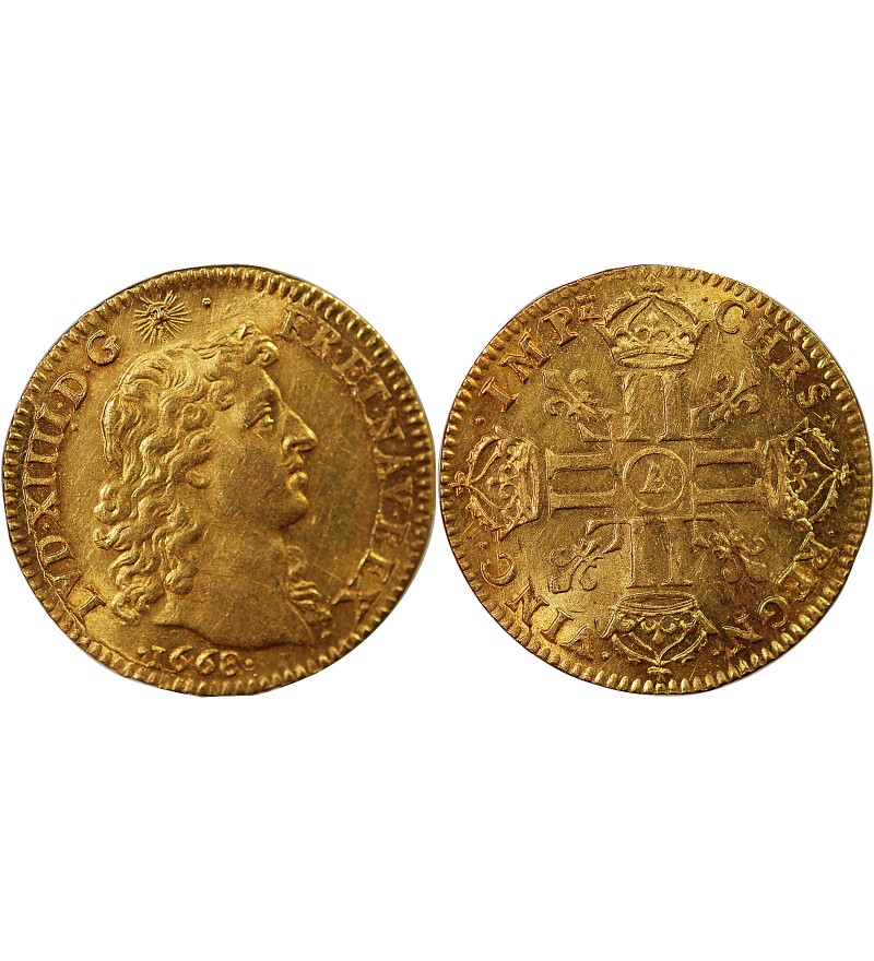 LOUIS XIV﻿ - LOUIS D'OR BUSTE JUVENILE TETE NUE 1668 A PARIS