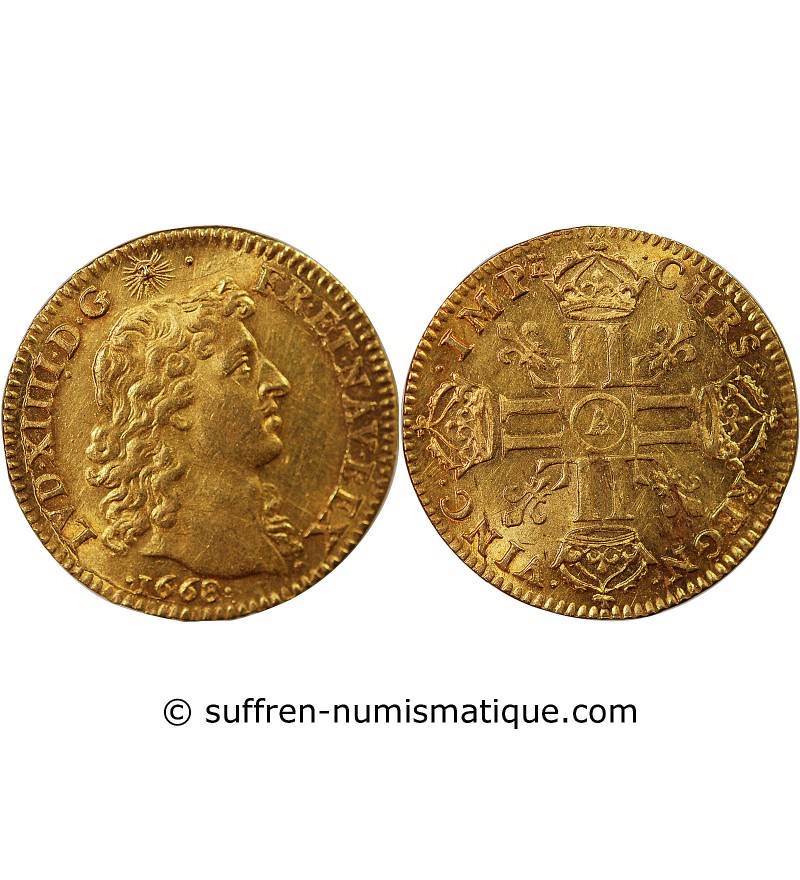 LOUIS XIV﻿ - LOUIS D'OR BUSTE JUVENILE TETE NUE 1668 A PARIS