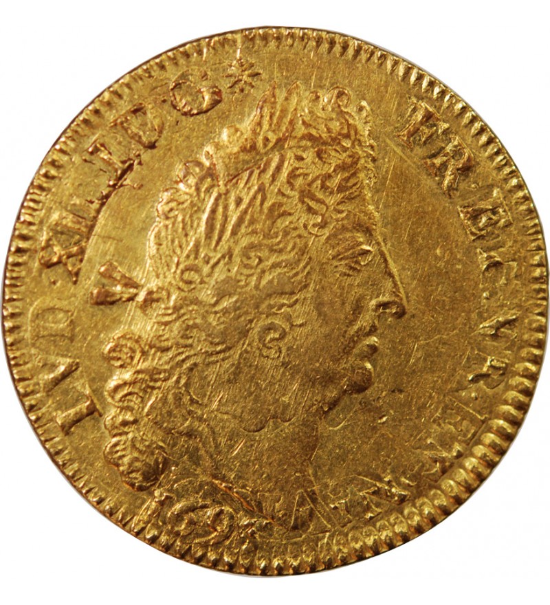 LOUIS XIV - DOUBLE LOUIS D'OR AUX 4 L 1693 A PARIS