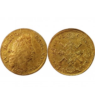 LOUIS XIV - DOUBLE LOUIS D'OR AUX 4 L 1693 A PARIS 2