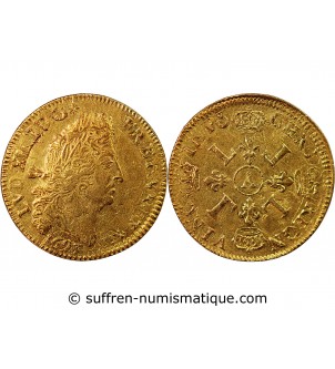 LOUIS XIV - DOUBLE LOUIS D'OR AUX 4 L 1693 A PARIS