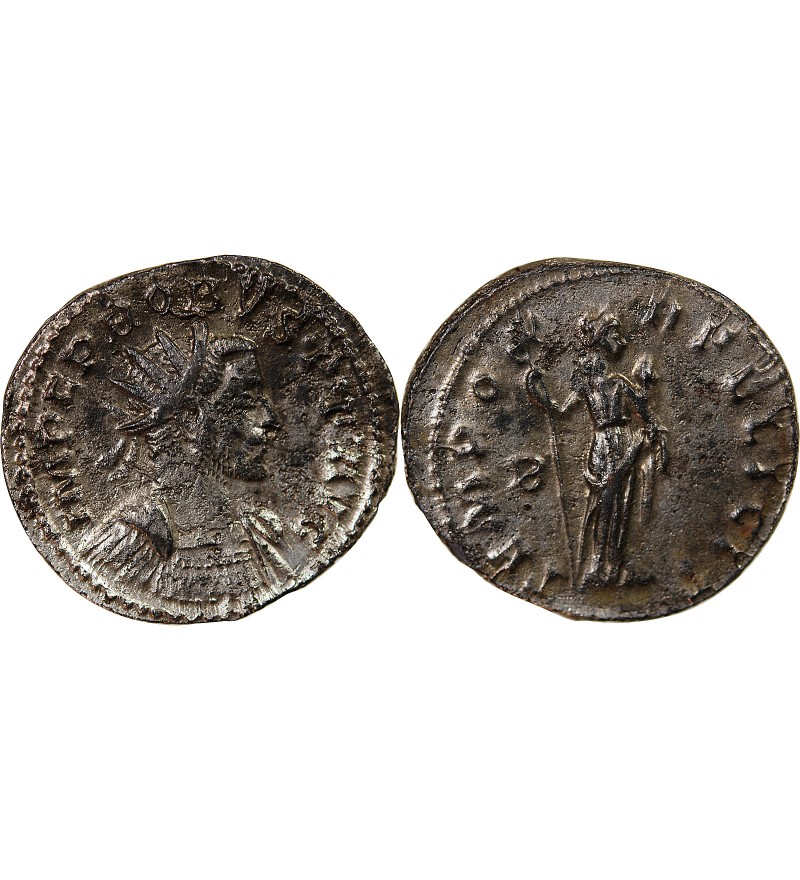 PROBUS - ANTONINIEN 282 LYON