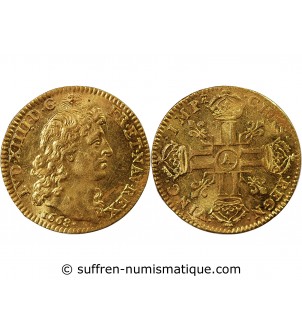 LOUIS XIV - LOUIS D'OR A LA TÊTE NUE 1668 A PARIS