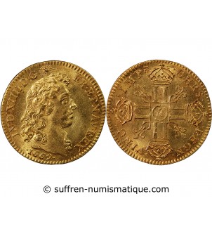 LOUIS XIV - LOUIS D'OR A LA TÊTE NUE 1669 A PARIS