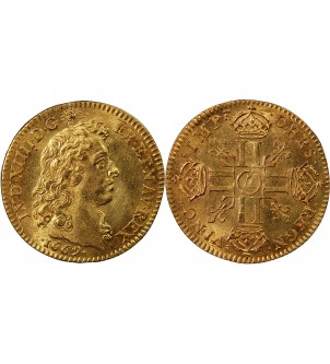 LOUIS XIV - LOUIS D'OR A LA TÊTE NUE 1669 A PARIS 2