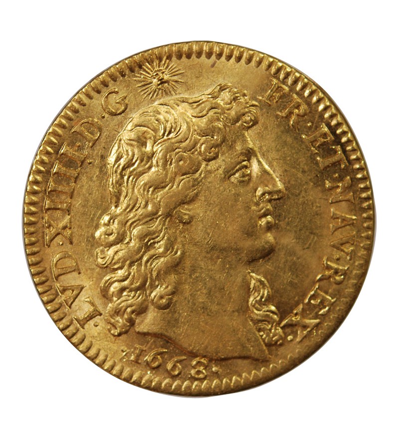 LOUIS XIV - LOUIS D'OR A LA TÊTE NUE 1668 A PARIS