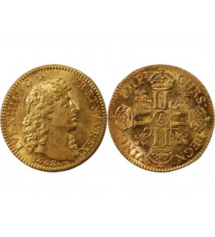 LOUIS XIV - LOUIS D'OR A LA TÊTE NUE 1668 A PARIS 2