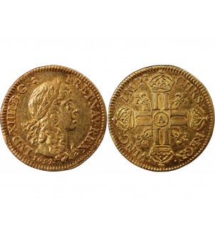 LOUIS XIV﻿ - LOUIS D'OR AU BUSTE JUVENILE 1659 A PARIS 2