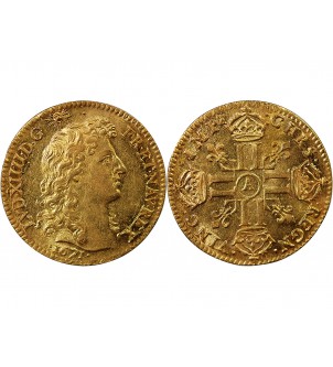 LOUIS XIV - LOUIS D'OR A LA TÊTE NUE 1671 A PARIS 2