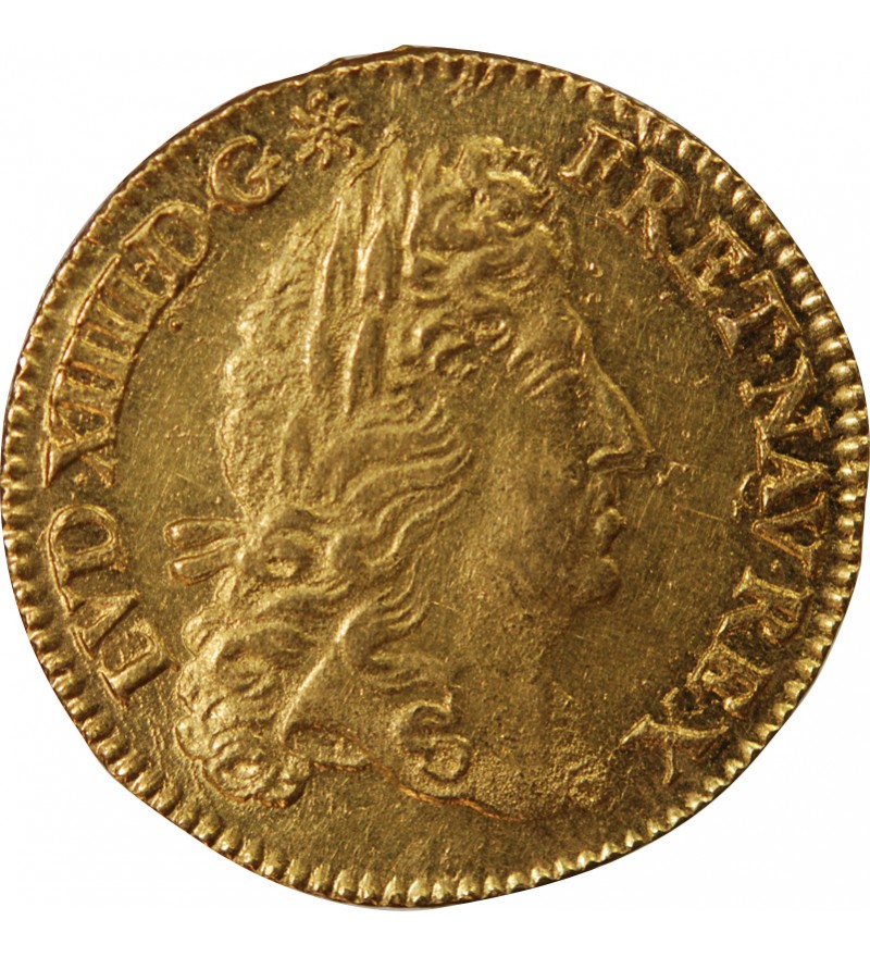LOUIS XIV - LOUIS D'OR A l'ECU 1691 A PARIS