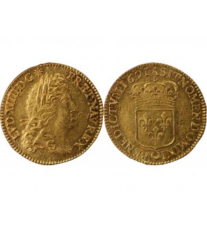 LOUIS XIV - LOUIS D'OR A l'ECU 1691 A PARIS 2