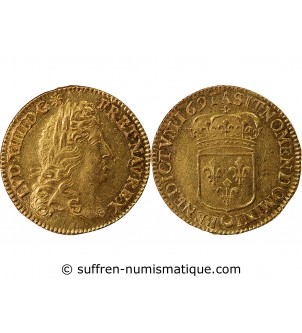 LOUIS XIV - LOUIS D'OR A l'ECU 1691 A PARIS