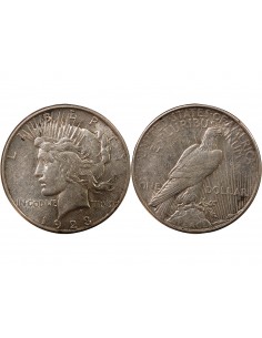 USA - PEACE DOLLAR ARGENT 1923 DENVER 2