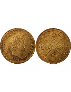 LOUIS XIV - LOUIS D'OR AUX INSIGNES 1704 A PARIS 2