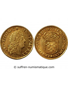 LOUIS XIV - LOUIS D'OR A l'ECU 1693 E TOURS