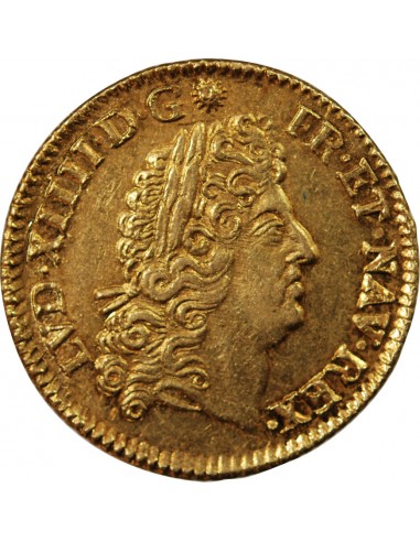 LOUIS XIV - LOUIS D'OR A l'ECU 1693 E TOURS
