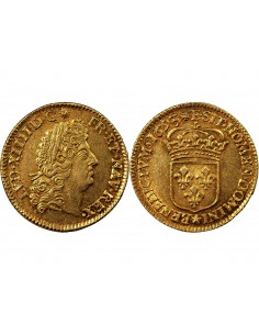 LOUIS XIV - LOUIS D'OR A l'ECU 1693 E TOURS 2