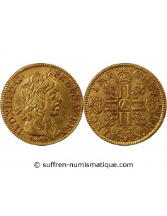 LOUIS XIII - LOUIS D'OR A LA MÈCHE LONGUE 1641 A PARIS