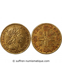 LOUIS XIII - 1/2 LOUIS D'OR A LA MÈCHE LONGUE 1641 A PARIS