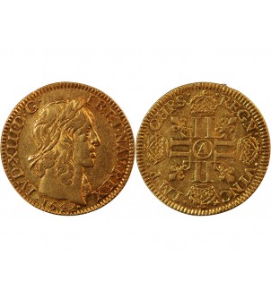 LOUIS XIII - LOUIS D'OR A LA MECHE MI-LONGUE 1642 A PARIS R2 "variété VINC étoile" 2