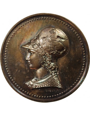 EXPOSITION INTERNATIONALE DE BLANC ET NOIR - MEDAILLE ARGENT 1885