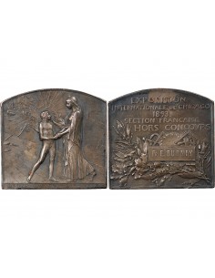 EXPOSITION INTERNATIONALE DE CHICAGO - PLAQUE 1893 2